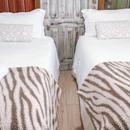 Ninho D'Arara Bed & Breakfast Tondela Exterior photo